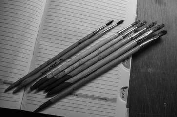 paint brush on the book 