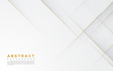 Fototapeta Modern abstract light silver background vector. Elegant concept design with golden line. obraz