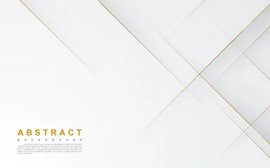 Poster Modern abstract light silver background vector. Elegant concept design with golden line. © Fajar