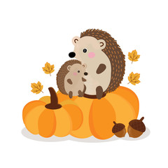 Cute hedgehog in the autumn.