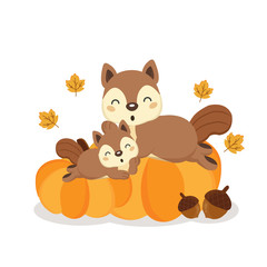 Obraz na płótnie Canvas Cute squirrels on pumkins in autumn.
