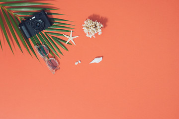 Summer vibes. Camera, sunglasses witt tropical palm leaf, seashells and starfish. Flat lay, top view
