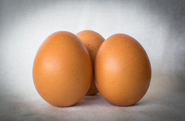 Primer plano de tres huevos en fondo blanco