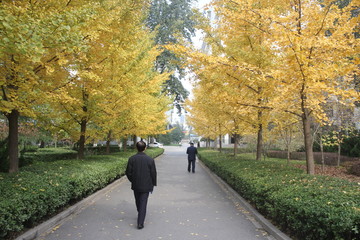 people walking in park in autumn