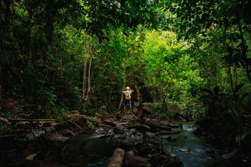 A man with a backpack standing on a rock in the stream looking at the greatness of the forest.concept on background of forest travel vacations in tropical forests of Thailand, Phang Nga, Koh yao yai