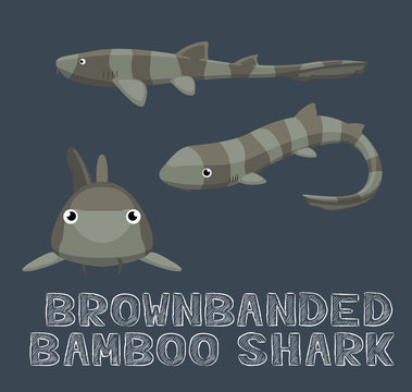 Brownbanded Bamboo Shark Cartoon Vector Illustration