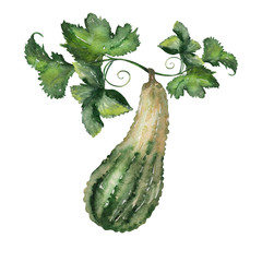 Watercolor background large pumpkin crop