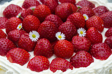 Fresh strawberry cake closeup