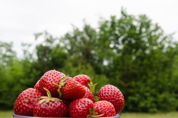 Fresh strawberries in a bowl outdoors
