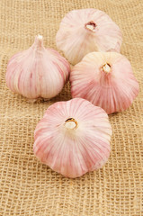Full cloves of garlic on hessian background