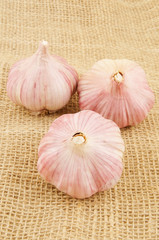 Full cloves of garlic on hessian background