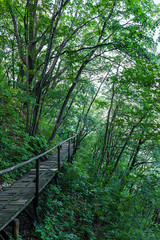 Jilin Province Hang Kettle Tourist Resort Plank Road