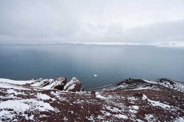 panorama anntarctique ile penguin