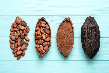 Cocoa beans, powder and pods on light blue table, flat lay