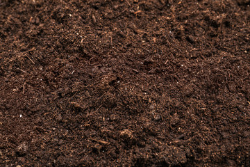 Fresh soil for gardening as background, closeup