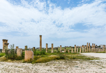 The ruins of Jerash in Jordan are the best preserved city of the early Greco-Roman era, it is the largest acropolis of East Asia.