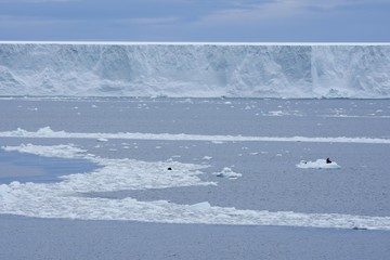 Iceberg tabulaire © Stéphane