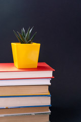 Close-up of a small aloe plant in a yellow pot on a stack of books for study and education on a black background. Growth. Vertical