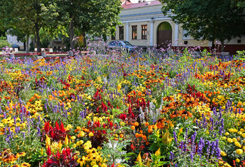 Obraz premium Flowers in the city park, Debrecen, Hungary