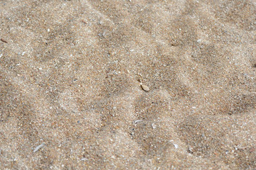 Texture of sand on the beach close up. Natural abstract background