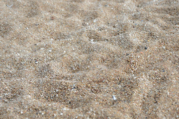 Texture of sand on the beach close up. Natural abstract background