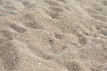 Texture of sand on the beach close up. Natural abstract background