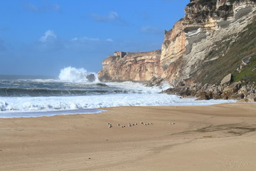 Beach in Nazare, Portugal