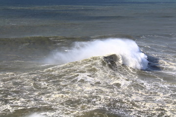 Big Wave in Nazare, Portugal