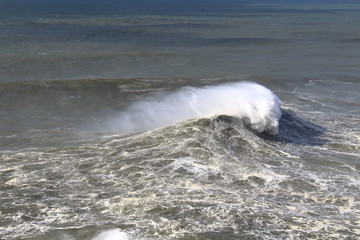 Big Wave in Nazare, Portugal
