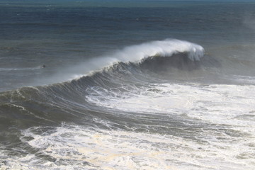 Big Wave in Nazare, Portugal