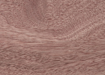 Wood texture background with surface old natural pattern