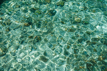 Beautiful seabed background, gorgeous sea bottom through transparent blue water, majestic marine life, travel and vacation concept