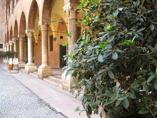 Obraz premium columns and a bush