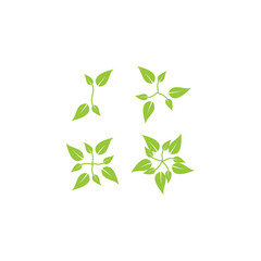 Design logo about some neatly arranged leaves.