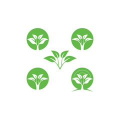 Logo design about some neatly arranged leaves.