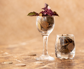 Plant in a glass cup with coins on the table