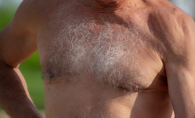 Hairy chest of a man