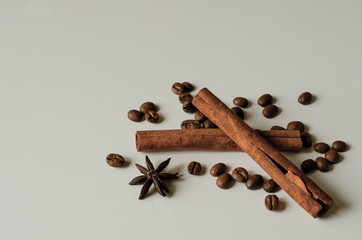 cinnamon sticks and star anise on white background