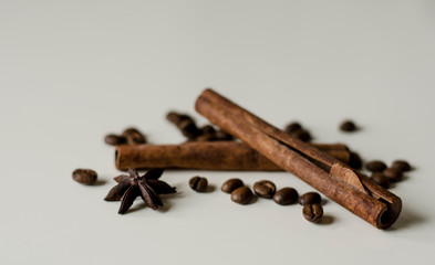 cinnamon sticks and cloves isolated on white background