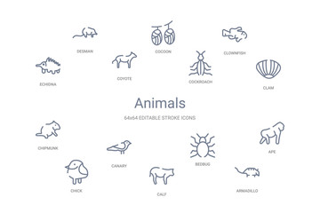 animals concept 14 outline icons
