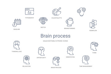 brain process concept 14 outline icons