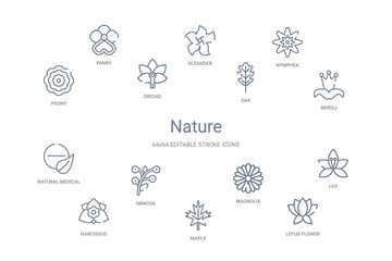 nature concept 14 outline icons