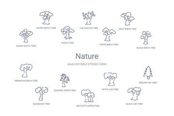 Fototapeta premium nature concept 14 outline icons