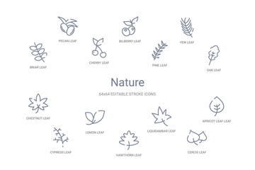 nature concept 14 outline icons