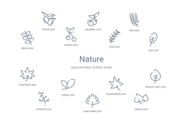 nature concept 14 outline icons