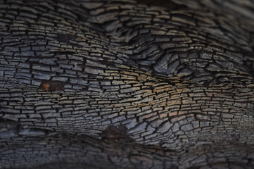 old wood texture