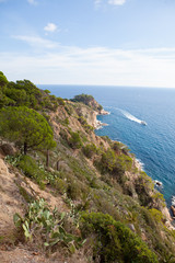 Coast of Tossa be Mar, Spain, in the Summer