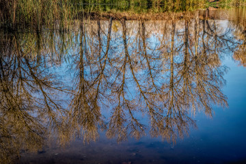 Beautiful autumn landscape. Trees reflected in the water of the lake