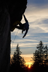 Back view of male climber silhouette hanging on rock. Young man looking down while climbing challenging route on cliff. Amazing sunset behind fir trees under blue sky with white clouds. Copy space