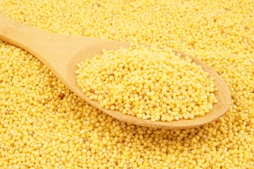 Millet with wooden spoon